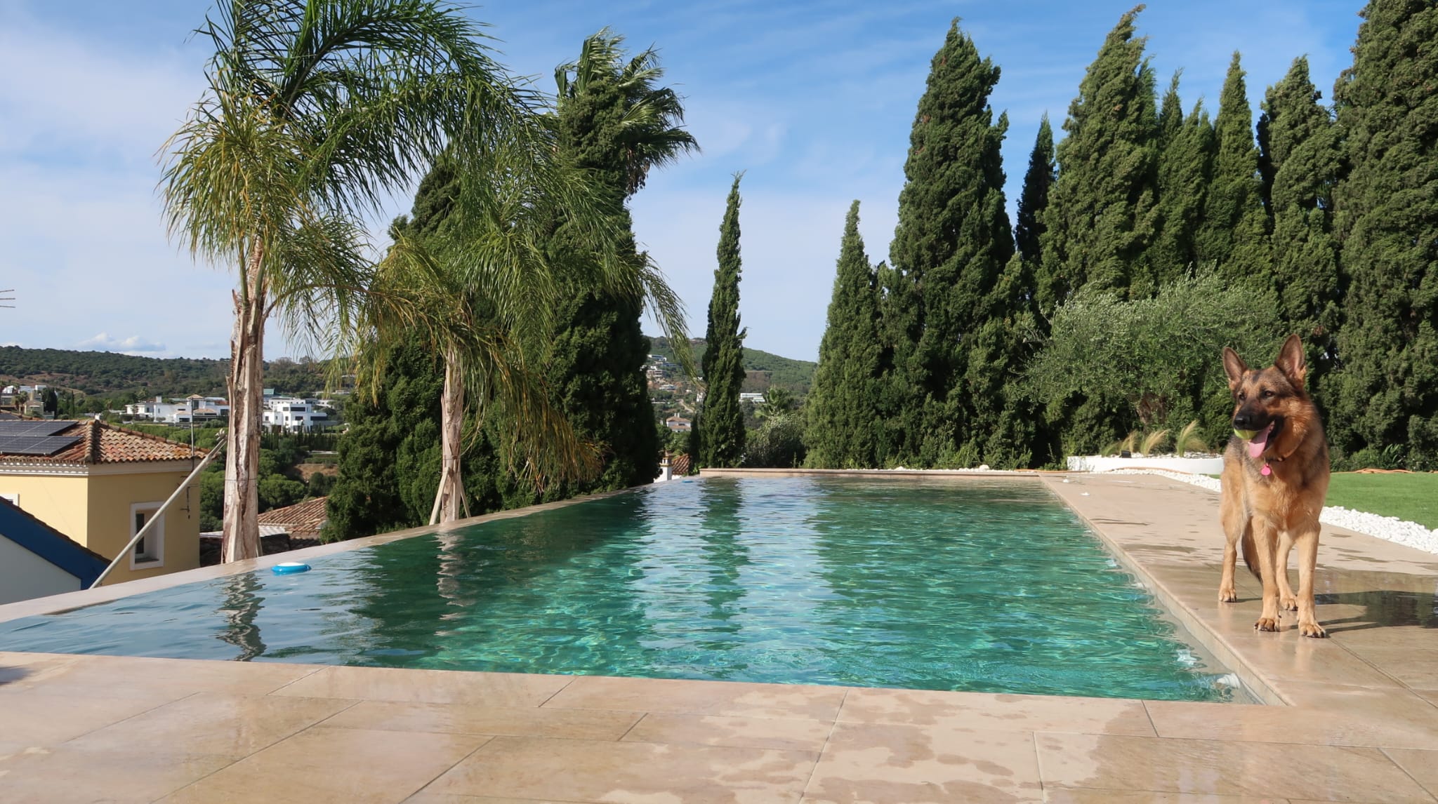 Galería de la propiedad