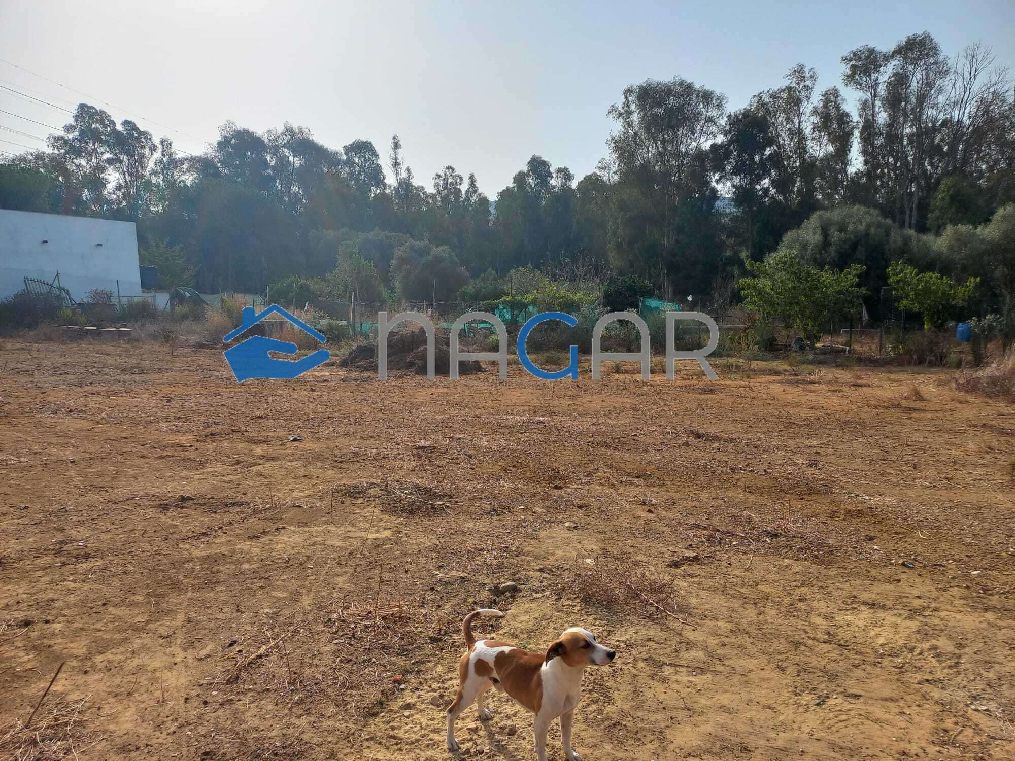 Galería de la propiedad