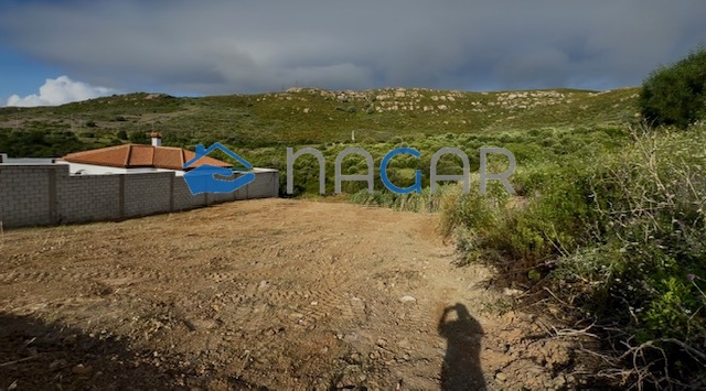 Galería de la propiedad
